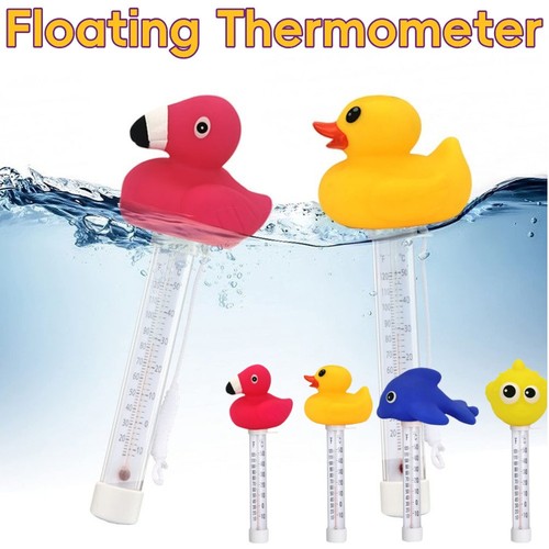 Schwimmbad ente thermometer - schwimmbad,