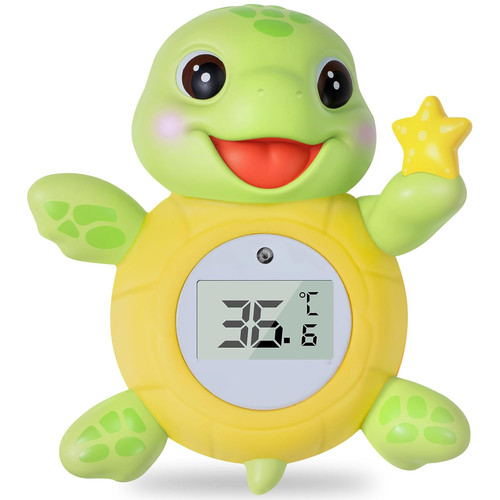 Seeschildkröte